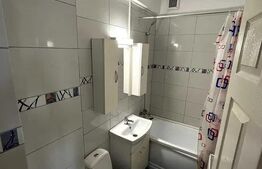 Apartament cu 2 camere, 48 mp, Pet Friendly, zona Centrala