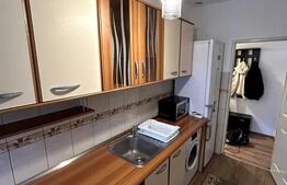 Apartament cu 2 camere, 48 mp, Pet Friendly, zona Centrala