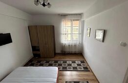 Apartament cu 2 camere, 48 mp, Pet Friendly, zona Centrala