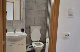 Garsoniera de inchiriat, 40 mp, cart Manastur 