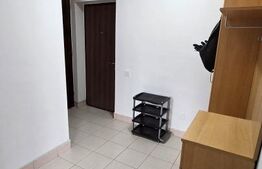 Apartament cu 2 camere, 53 mp, 2 balcoane, garaj, zona strazii Dimitri Gusti 