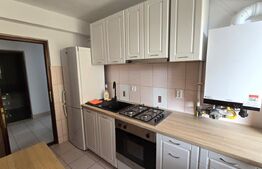 Apartament cu 2 camere, 53 mp, 2 balcoane, garaj, zona strazii Dimitri Gusti 