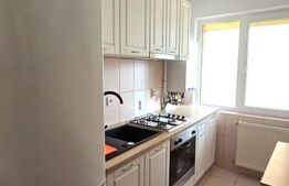 Apartament cu 2 camere, 53 mp, 2 balcoane, garaj, zona strazii Dimitri Gusti 