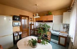 Apartament cu 2 camere, 52 mp, decomandat, zona Grigorescu