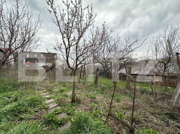 Casa de vânzare 5 camere Dambul Rotund - 169252CV | BLITZ Cluj-Napoca | Poza10