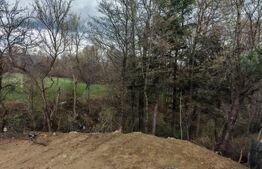 Casa de vacanta cu 4 camere in Predelut - Comuna Bran 