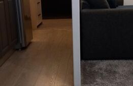 Apartament tip studio, cu 2 camere, 47 mp, impecabil, zona Tractorul