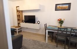 Apartament tip studio, cu 2 camere, 47 mp, impecabil, zona Tractorul
