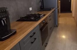 Apartament tip studio, cu 2 camere, 47 mp, impecabil, zona Tractorul