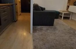 Apartament tip studio, cu 2 camere, 47 mp, impecabil, zona Tractorul
