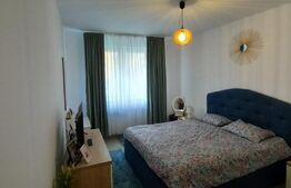 Apartament tip studio, cu 2 camere, 47 mp, impecabil, zona Tractorul