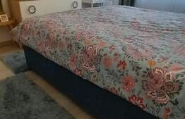 Apartament tip studio, cu 2 camere, 47 mp, impecabil, zona Tractorul