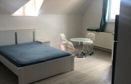 Garsonieră de închiriat, 39 mp, zona Centrul Vechi 