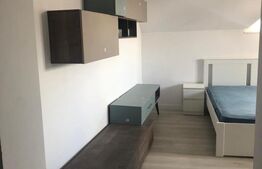 Garsonieră de închiriat, 39 mp, zona Centrul Vechi 