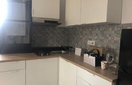 Garsonieră de închiriat, 39 mp, zona Centrul Vechi 