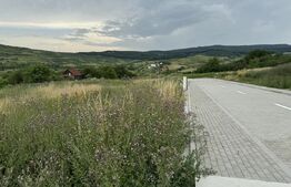 Teren intravilan de vanzare, 803 mp, cu autorizatie de construire, zona Sopor