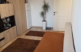 Garsoniera renovata complet, 24 mp, balcon, zona Marasti