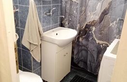 Garsoniera renovata complet, 24 mp, balcon, zona Marasti