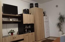 Garsoniera renovata complet, 24 mp, balcon, zona Marasti