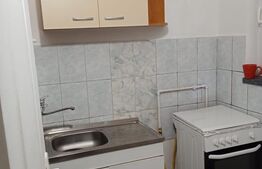 Garsoniera renovata complet, 24 mp, balcon, zona Marasti