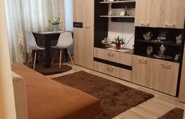 Garsoniera renovata complet, 24 mp, balcon, zona Marasti