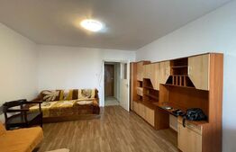 Garsoniera de vanzare, 28 mp, balcon, zona Aleea Detunata