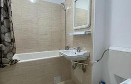 Garsoniera de vanzare, 28 mp, balcon, zona Aleea Detunata