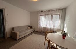 Apartament 2 camere, semidecomadat, modern, zona Piata M. Viteazu