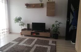 Apartament 2 camere, zona Iris