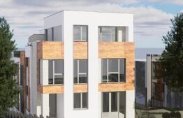 Investitie - Casă tip duplex, spațiu comercial și garaj - Andrei Muresanu