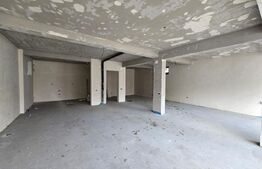 Investitie - Casă tip duplex, spațiu comercial și garaj - Andrei Muresanu