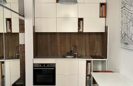 Apartament cu 1 camera, 30 mp, modern, zona Horea 