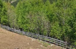 Teren Plus cabana de vanzare in zona Maguri