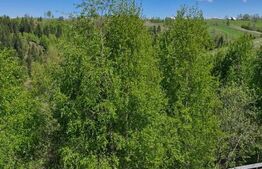 Teren Plus cabana de vanzare in zona Maguri