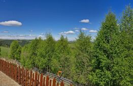 Teren Plus cabana de vanzare in zona Maguri