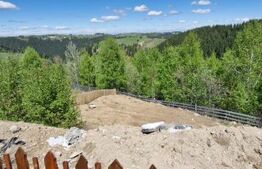 Teren Plus cabana de vanzare in zona Maguri