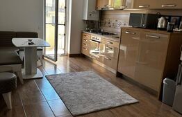 Vanzare apartamenr 2 camere zona Florilor