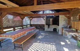 Pensiune in Belis, 1300 mp teren, 387 mp utili, Posibilitate schimb