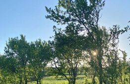 Casa  cu 10000mp de teren in Buza, la 50 km de Cluj-Napoca