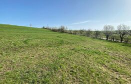 Casa  cu 10000mp de teren in Buza, la 50 km de Cluj-Napoca