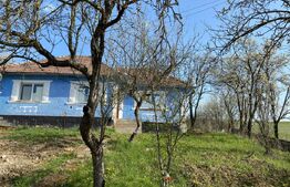 Casa  cu 10000mp de teren in Buza, la 50 km de Cluj-Napoca