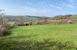 Casa  cu 10000mp de teren in Buza, la 50 km de Cluj-Napoca