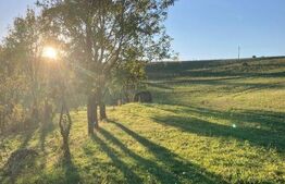 Casa  cu 10000mp de teren in Buza, la 50 km de Cluj-Napoca