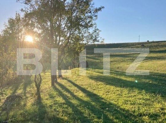 Casa de vânzare 2 camere Apahida - 169353CV | BLITZ Cluj-Napoca | Poza3