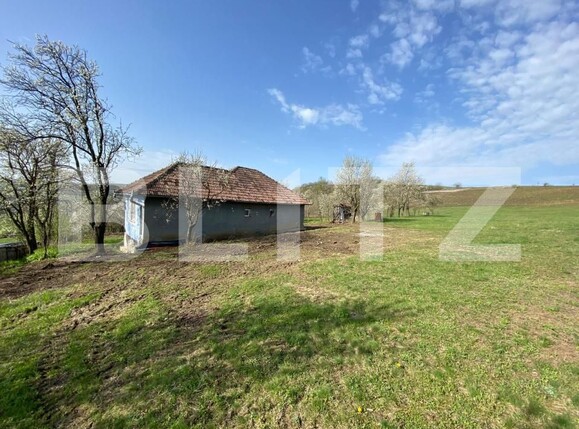 Casa de vânzare 2 camere Apahida - 169353CV | BLITZ Cluj-Napoca | Poza8