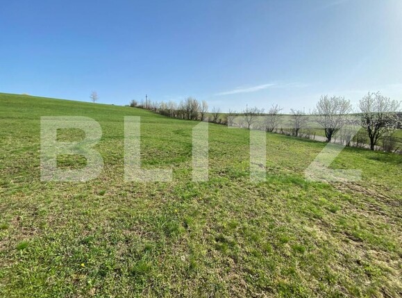 Casa de vânzare 2 camere Apahida - 169353CV | BLITZ Cluj-Napoca | Poza9