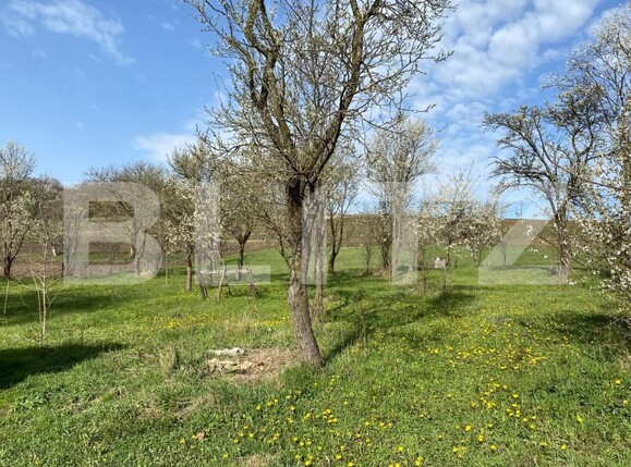 Casa de vânzare 2 camere Apahida - 169353CV | BLITZ Cluj-Napoca | Poza5