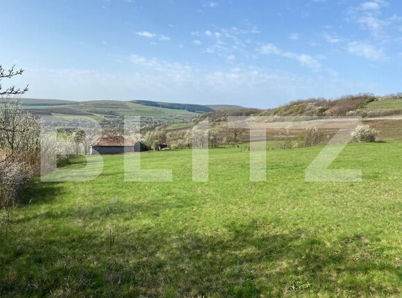 Casa de vânzare 2 camere Apahida - 169353CV | BLITZ Cluj-Napoca | Poza12