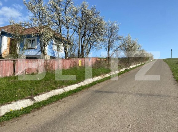 Casa de vânzare 2 camere Apahida - 169353CV | BLITZ Cluj-Napoca | Poza2