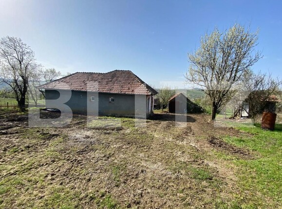 Casa de vânzare 2 camere Apahida - 169353CV | BLITZ Cluj-Napoca | Poza10